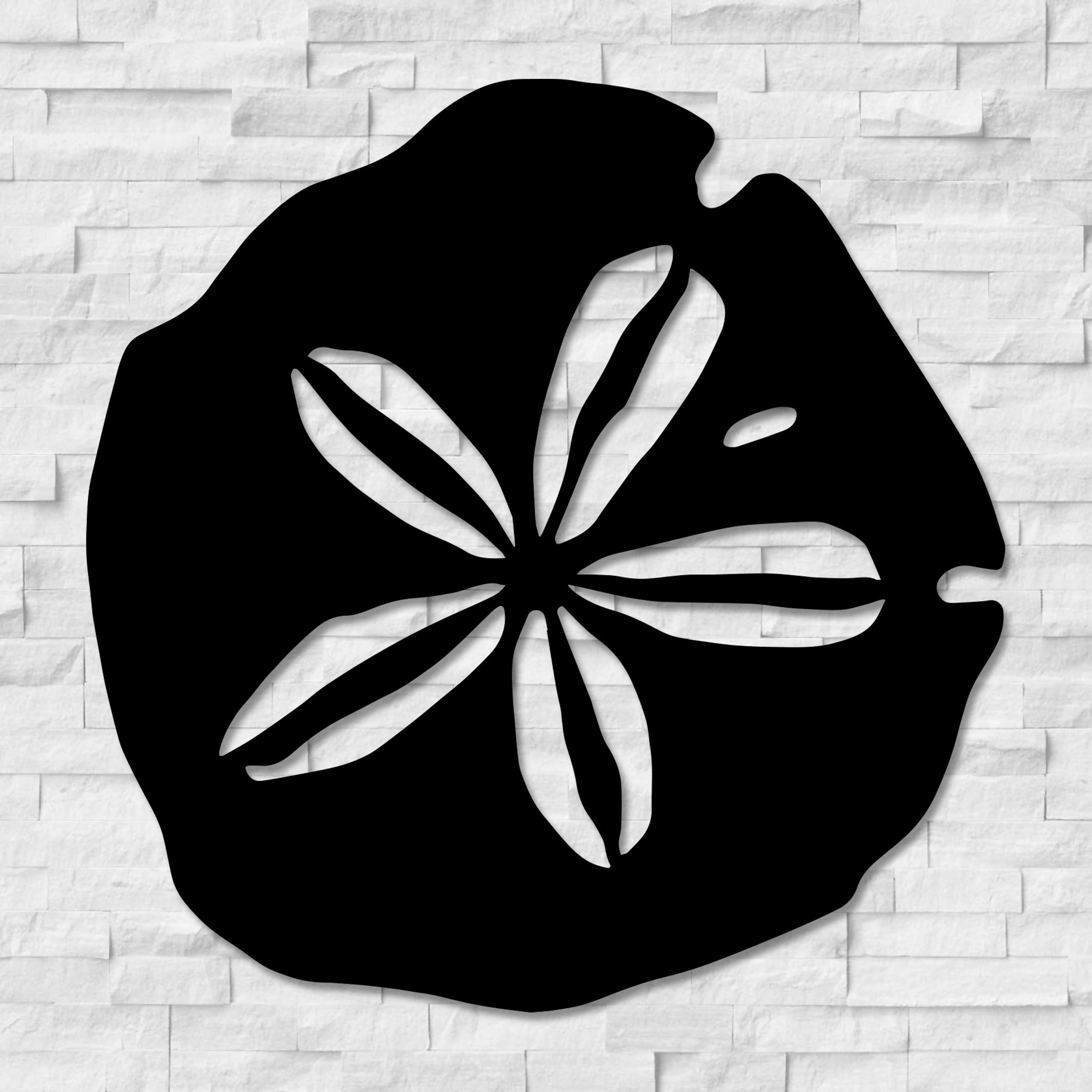 Sand Dollar Wall Art