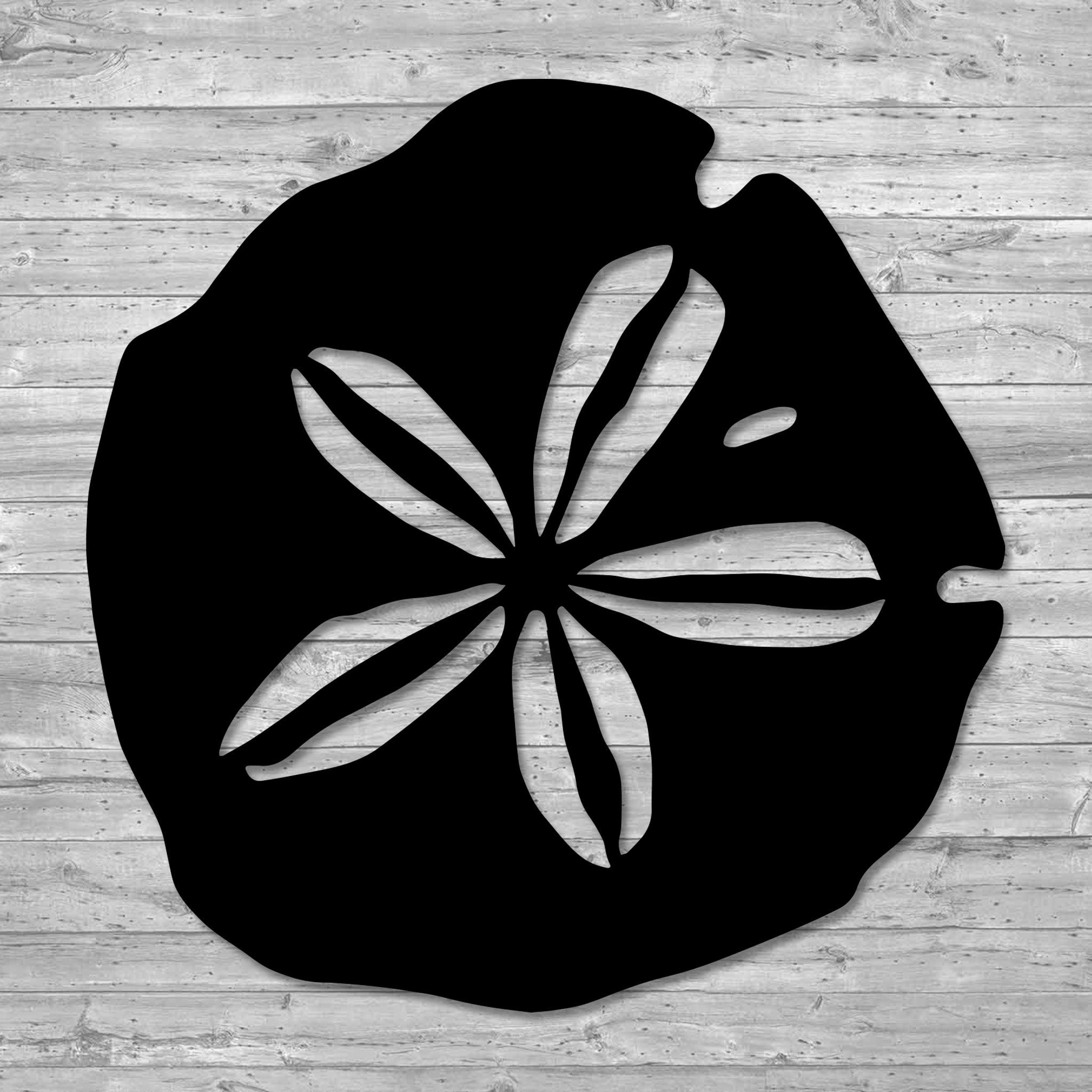 Sand Dollar Wall Art