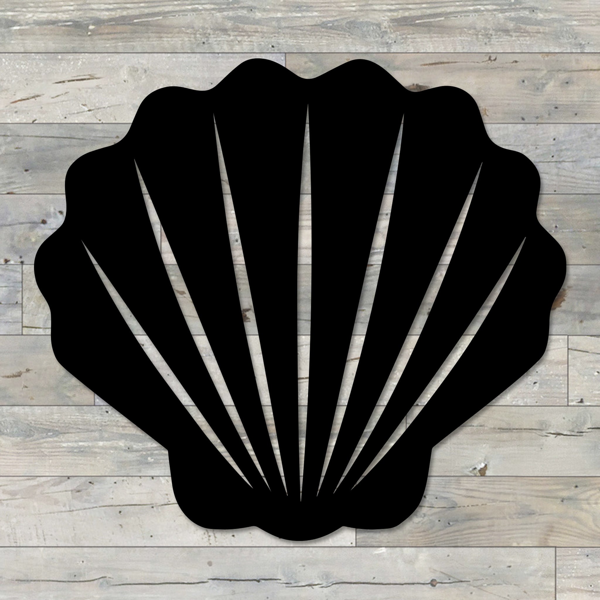 Sea Shell Wall Art