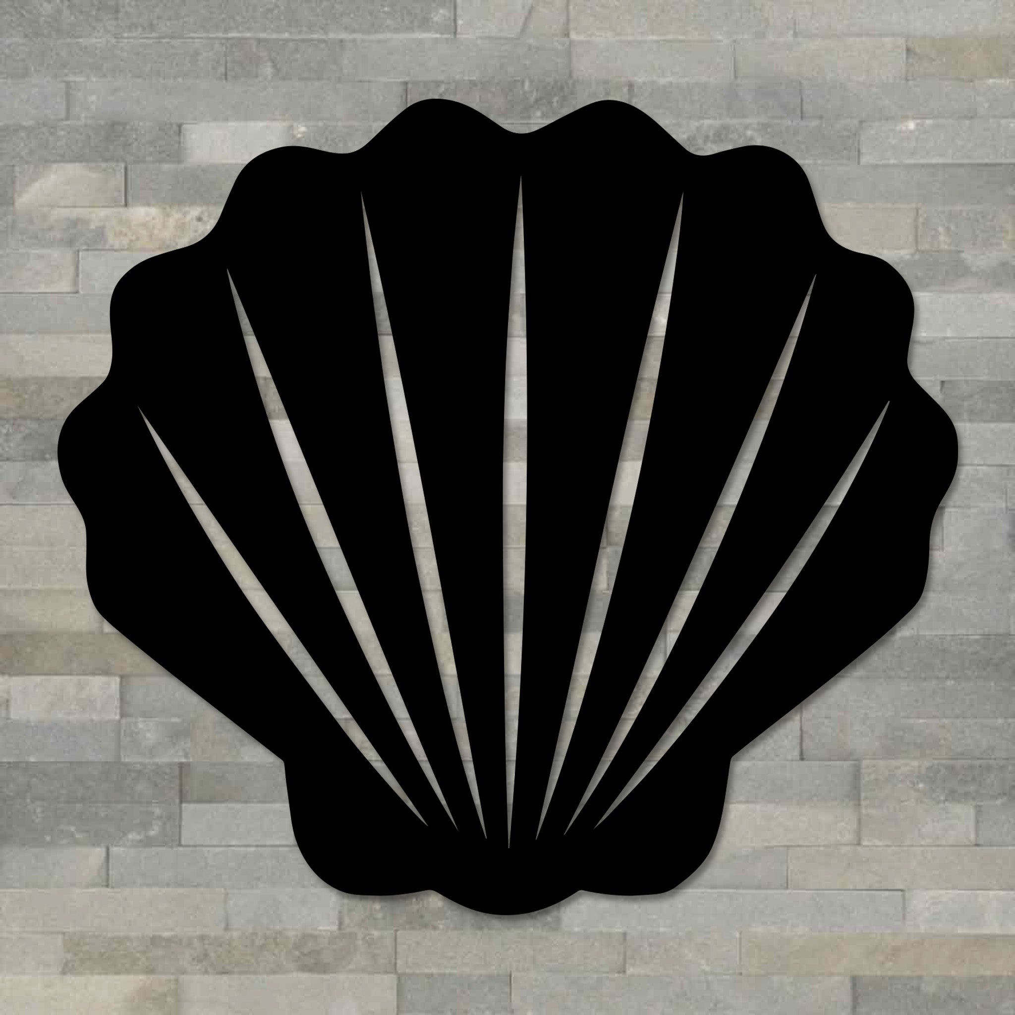 Sea Shell Wall Art