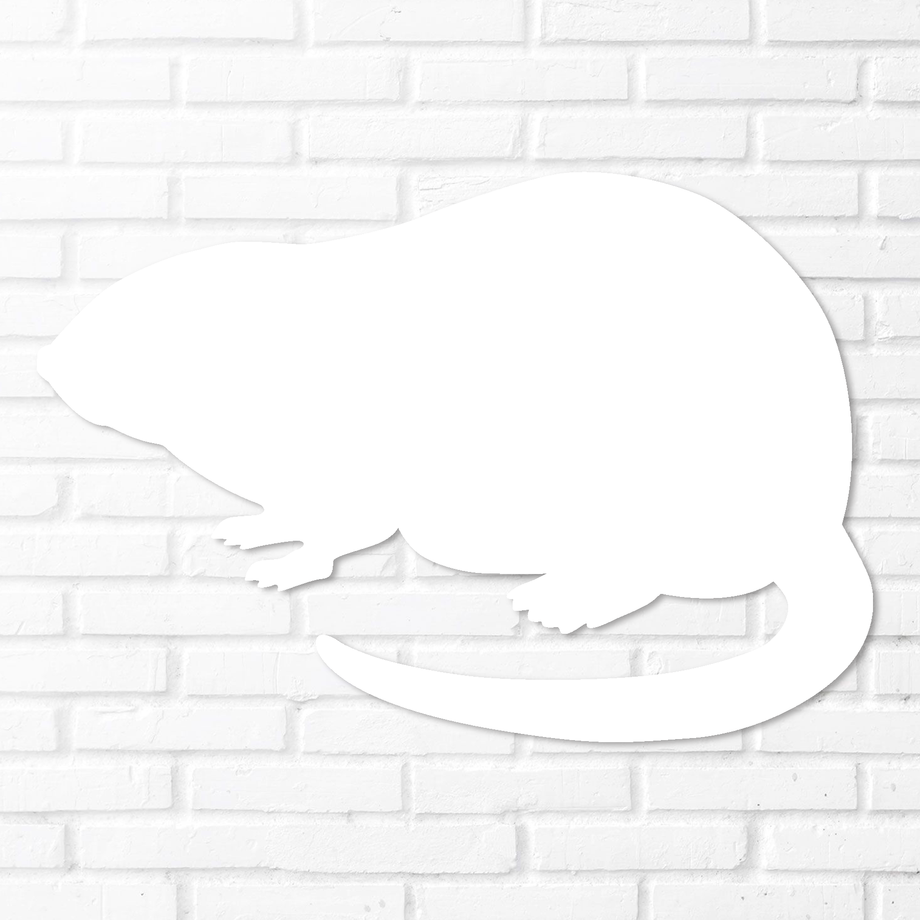 Muskrat Silhouette